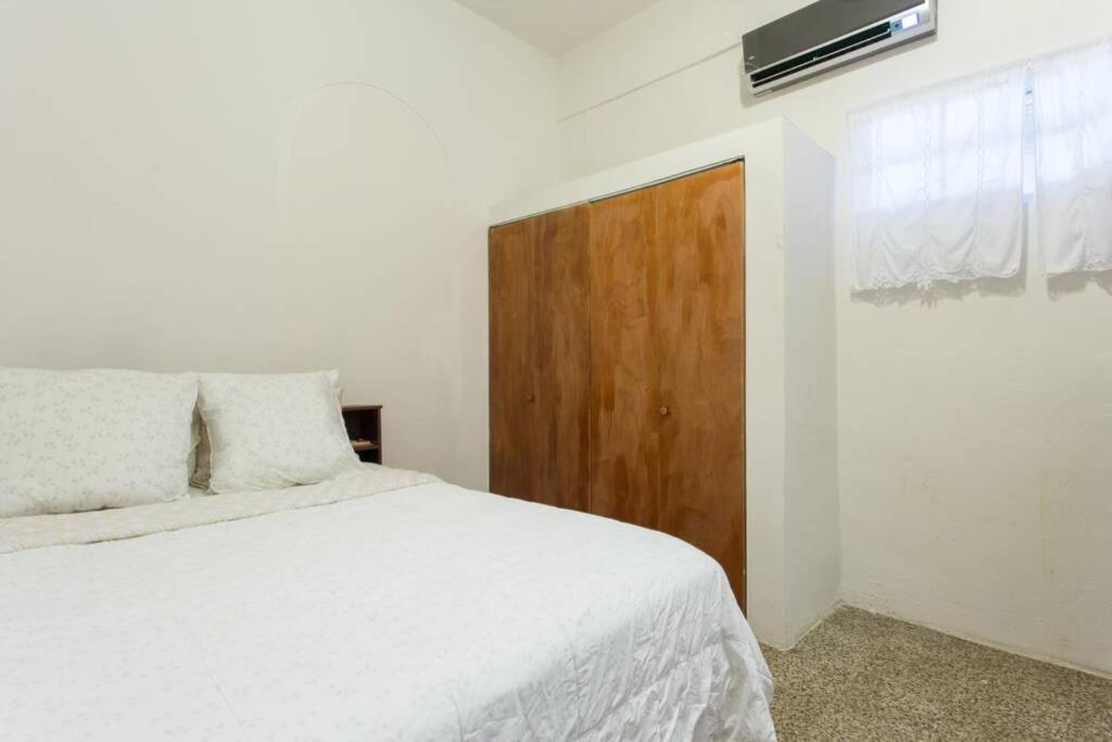 Comfortable And Affordable Deal Close To Beach And Rainforest Rio Grande Kültér fotó