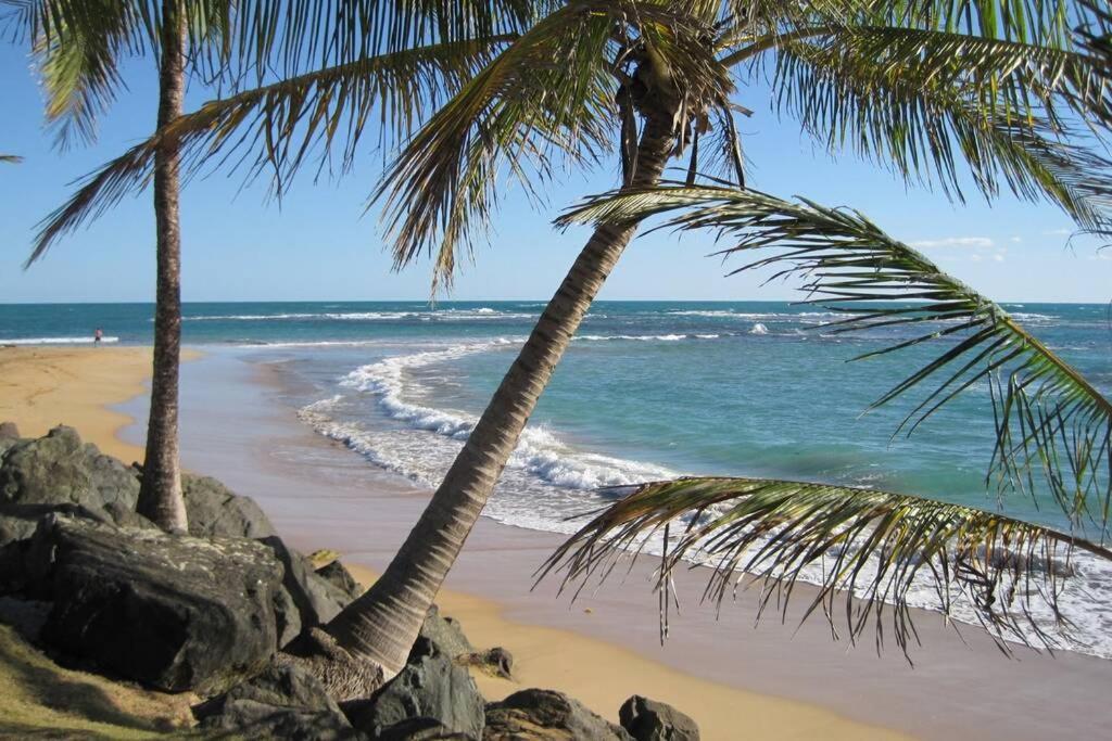 Comfortable And Affordable Deal Close To Beach And Rainforest Rio Grande Kültér fotó